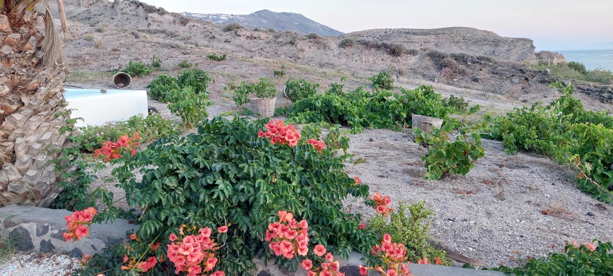 Peaceful Seafront Retreat In Santorini -Sonus Mare Beach Houses Vourvoulos Exterior photo